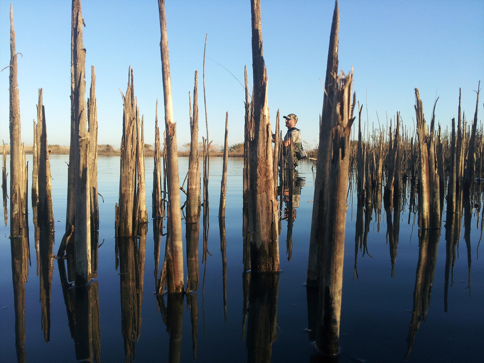 RAPITOR - 20131212185357.jpg